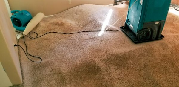 Flood Damage Cleanup in Stamford