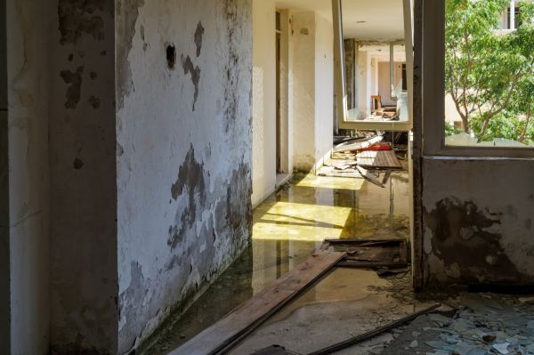 Cost of Water Removal Service in Stamford