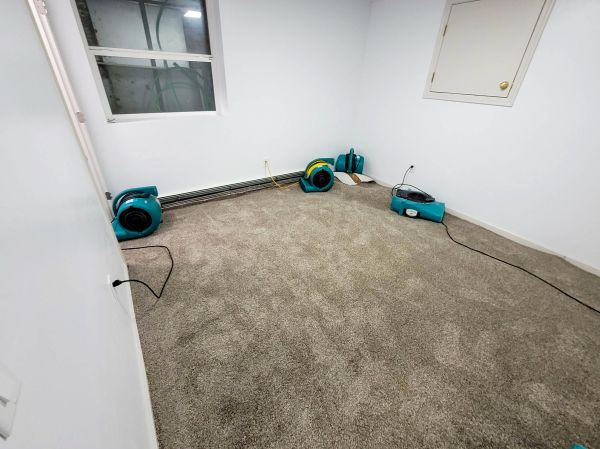Flood Restoration Service in Stamford