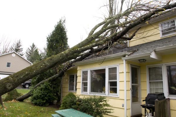 Hurricane Damage Repair in Stamford