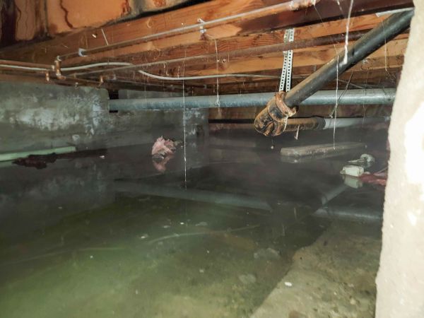 Crawlspace Water Restoration in Stamford