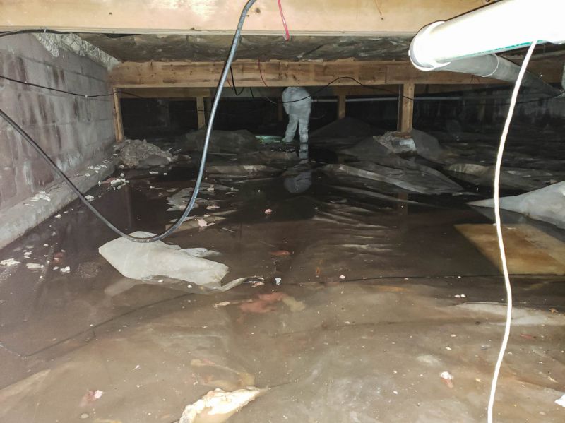 Water Damage Repair Experts